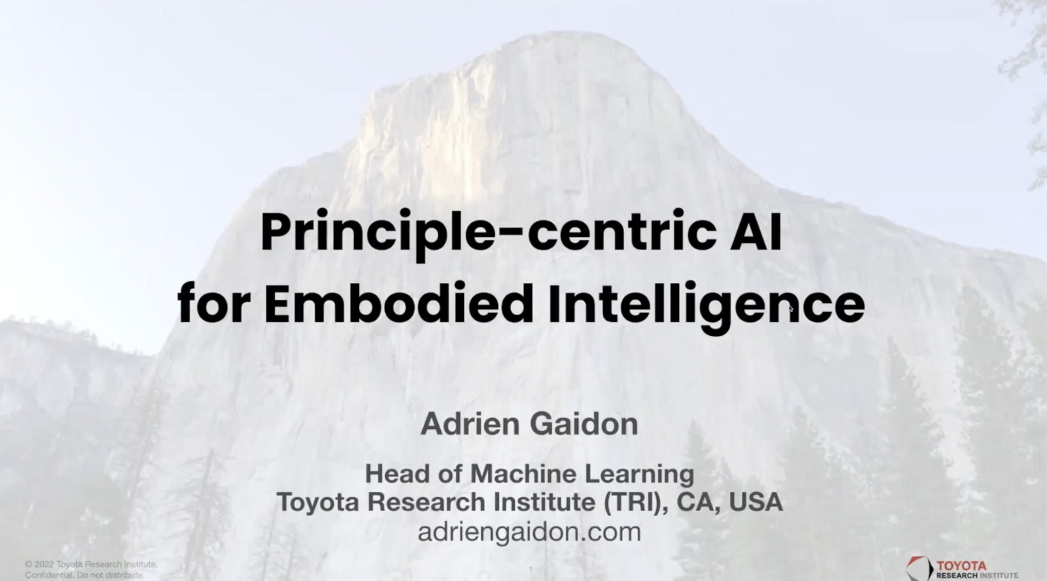 Principle-centric AI for Embodied Intelligence